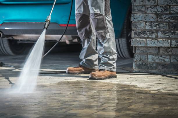 Best Boat and Dock Cleaning  in Hybla Lley, VA