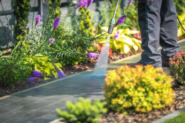 Best Patio and Deck Pressure Washing  in Hybla Lley, VA