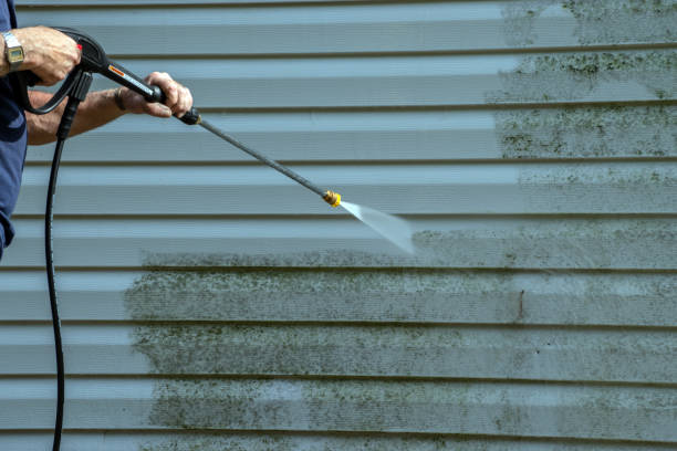 Best Sidewalk and Walkway Cleaning  in Hybla Lley, VA